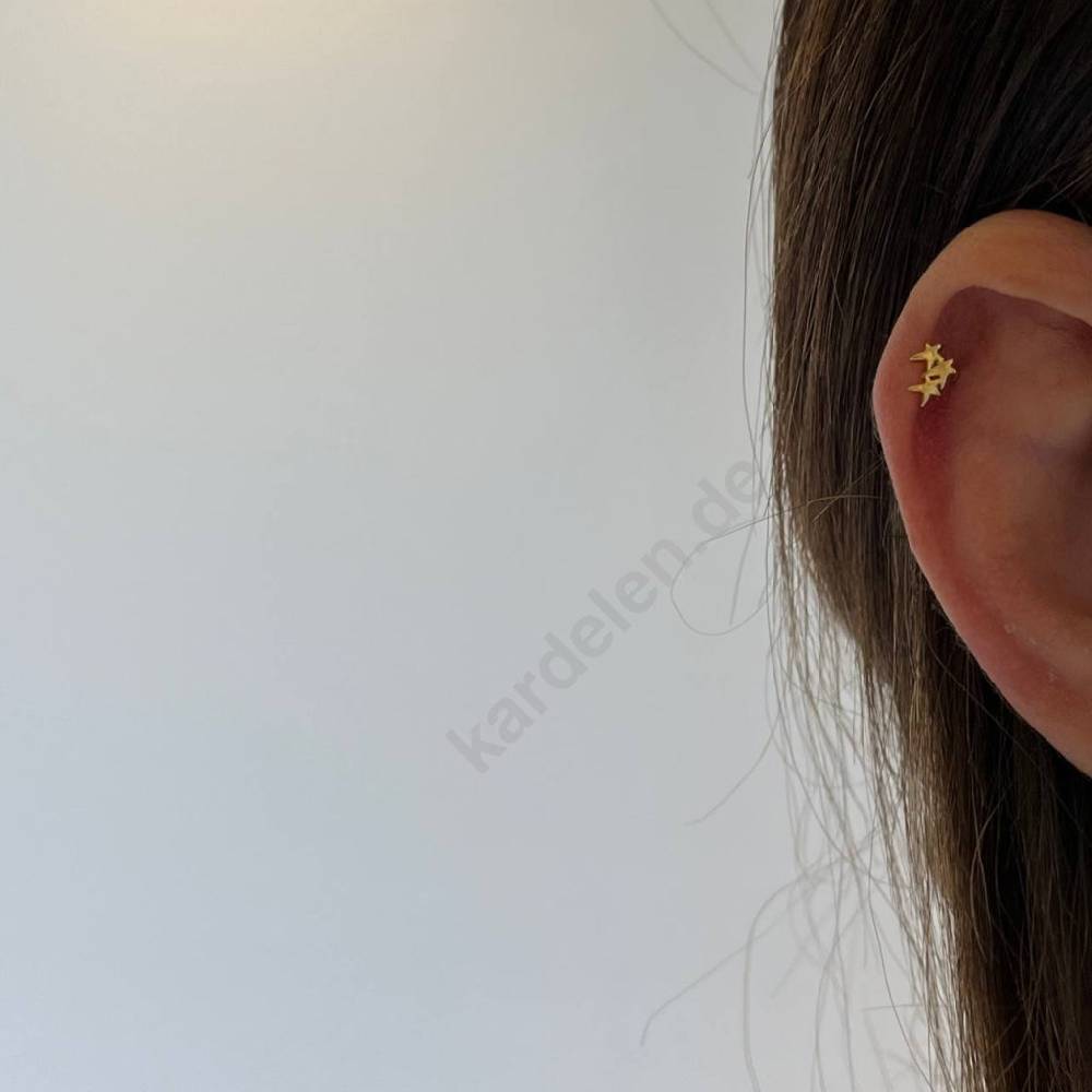 Kardelen Stern Piercing Exklusive Angebote