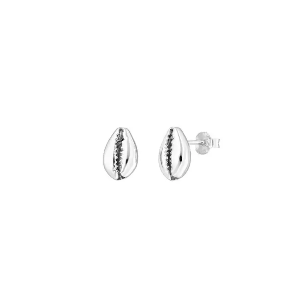 Leaf Jewelry Ohrstecker Cowrie Shell, 925 Sterlingsilber Fabrik Onlineshop