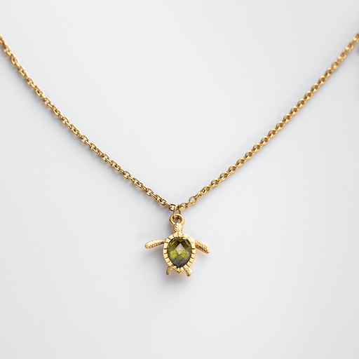 Paul Hewitt Turtle Mono Halskette Gold Online Shopping