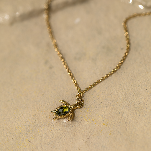 Paul Hewitt Turtle Mono Halskette Gold Online Shopping