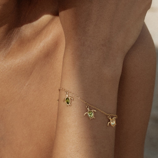 Paul Hewitt Turtle World Turtle Day Armkette Gold Jubiläumsangebot