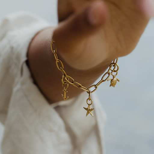 Paul Hewitt Turtle Charm Gold Vierteljährliche Förderung