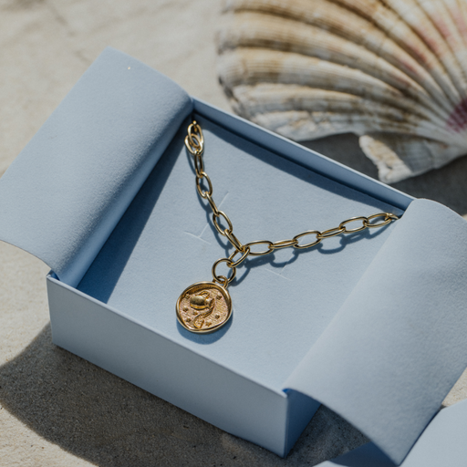 Paul Hewitt Aquarius Charm Gold Wochenangebot