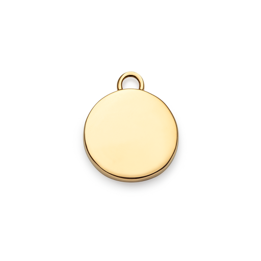 Paul Hewitt Aquarius Charm Gold Wochenangebot