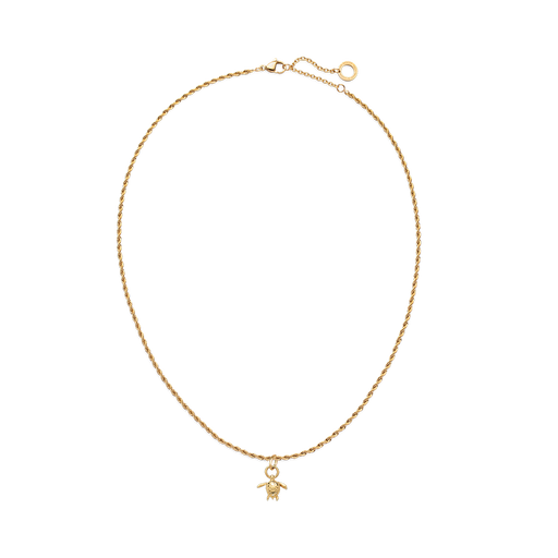 Paul Hewitt Set Turtle Charm und Halskette Gold Sonderangebot
