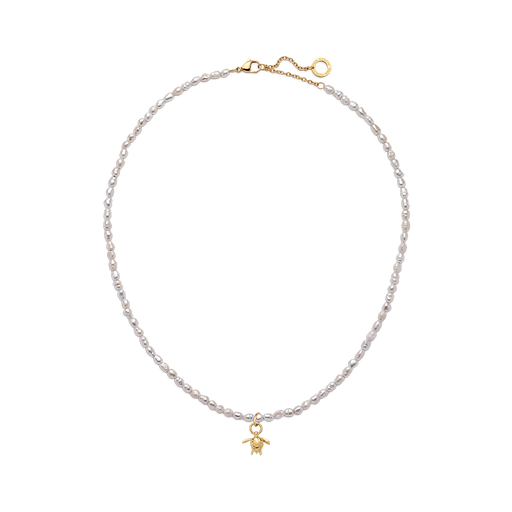 Paul Hewitt Set Turtle Charm und Halskette Gold Sonderangebot