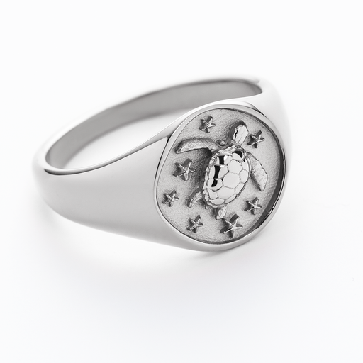 Paul Hewitt Turtle Signet Ring Silber Rabatte dieses Monats
