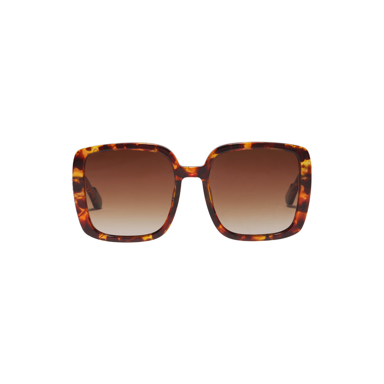 Pilgrim ALIET Sonnenbrille Schildpatt-Braun/Gold Preisnachlass