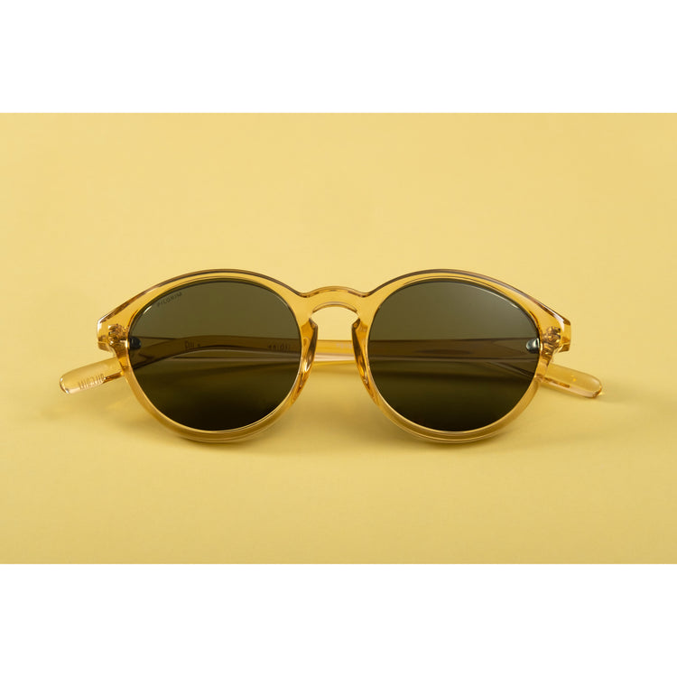 Pilgrim VASILIA Sonnenbrille transparent braun Online