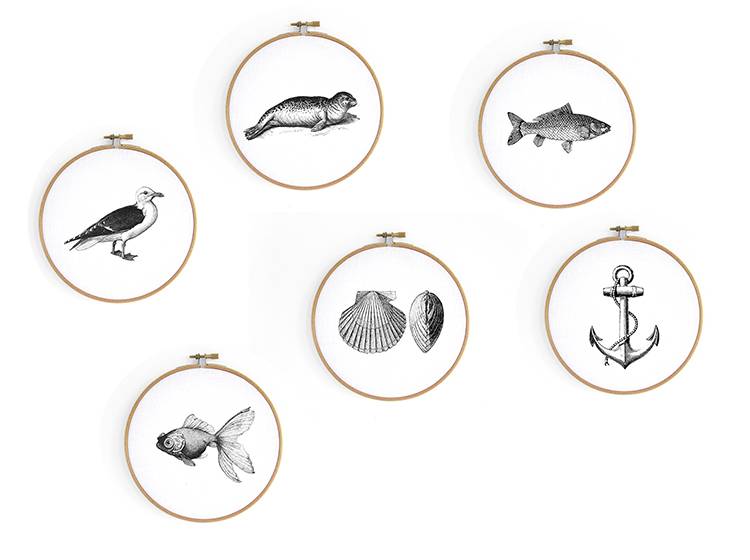 Renna Deluxe Muschel _ Bild im Stickrahmen Discount Store für neue Produkte