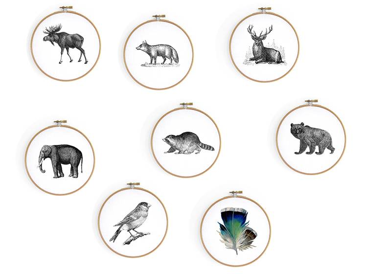 Renna Deluxe Muschel _ Bild im Stickrahmen Discount Store für neue Produkte