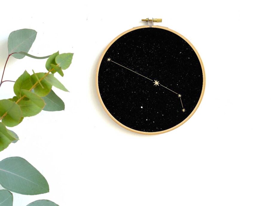 Renna Deluxe Löwe Sternzeichen Bild im Stickrahmen Top Angebot