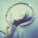 Silberdream SilberDream Armband Perlen diamantiert 925er Sterling Silber Damen SDA7004T Tägliche Deals