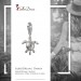 Silberdream SilberDream 925 Charm Seeschildkröte Armband Anhänger FC1002 Rabatte dieses Monats