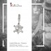 Silberdream SilberDream 925 Charm Schildkröte Armband Anhänger FC1001 Kostenloser Versand