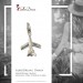 Silberdream SilberDream 925 Charm Flugzeug Armband Anhänger FC3043 Letzte 2 Tage