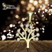 Silberdream GoldDream Kettenanhänger Lebensbaum Zirkonia weiß 333 Gold Echtschmuck GDH5066Y Black Friday